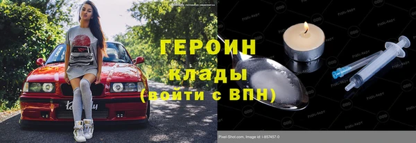 ПСИЛОЦИБИНОВЫЕ ГРИБЫ Гусев