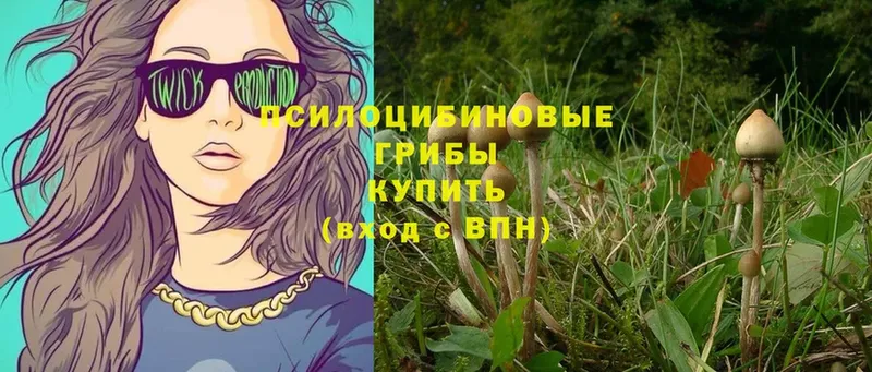 Галлюциногенные грибы Magic Shrooms  купить наркотики сайты  блэк спрут ТОР  Кимовск 